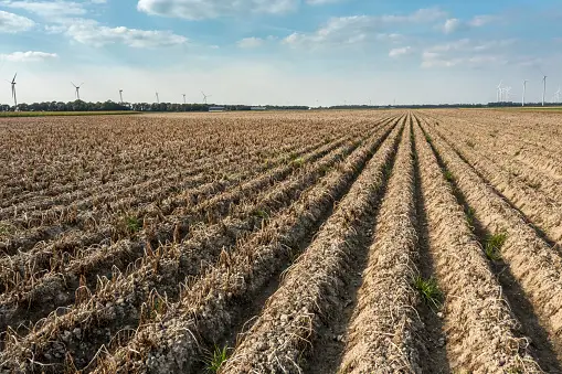 green industry current issues: Drought