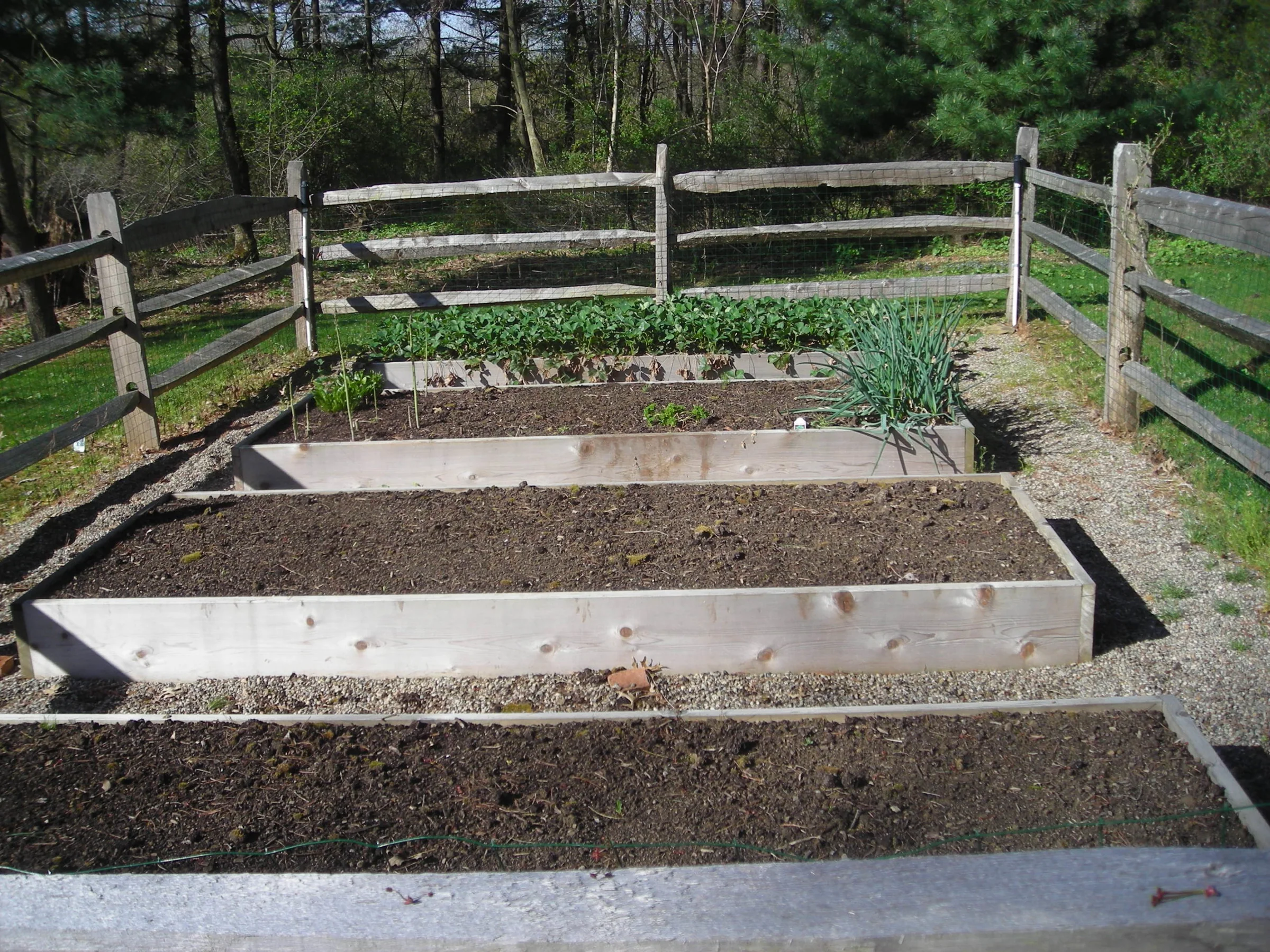vegetable garden tips, Wooden raised garden beds
