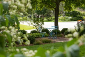 7 Principles Of Landscape Design; simplicity; Blue table and chairs surrounded by garden foliage