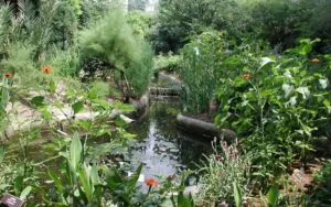 Rodef Shalom Biblical Botanical Garden