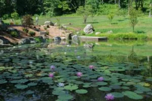 Pittsburgh Botanic Garden