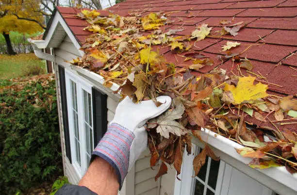 fall landscaping tips