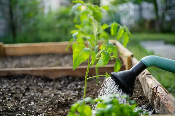 landscape irrigation system