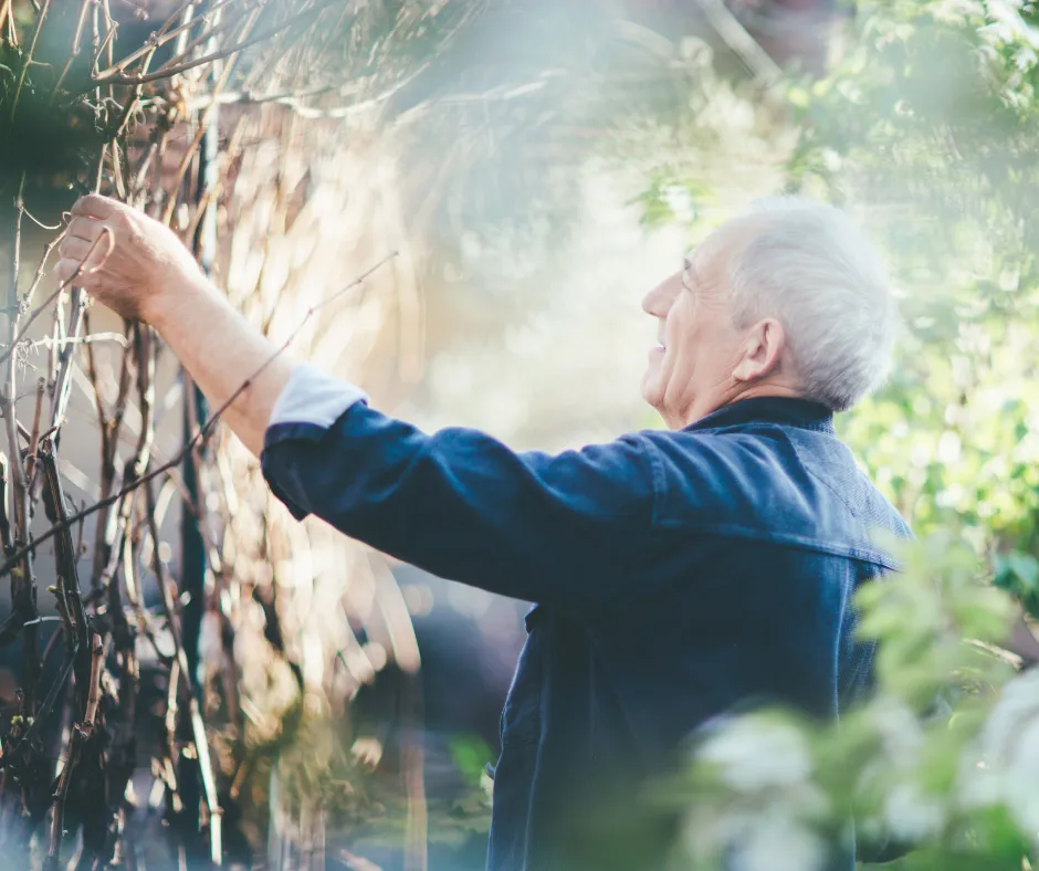 The Ultimate Guide To Pruning Trees In The Winter- The Winter Guide To Pruning Trees In The Winter- A man accessing his trees