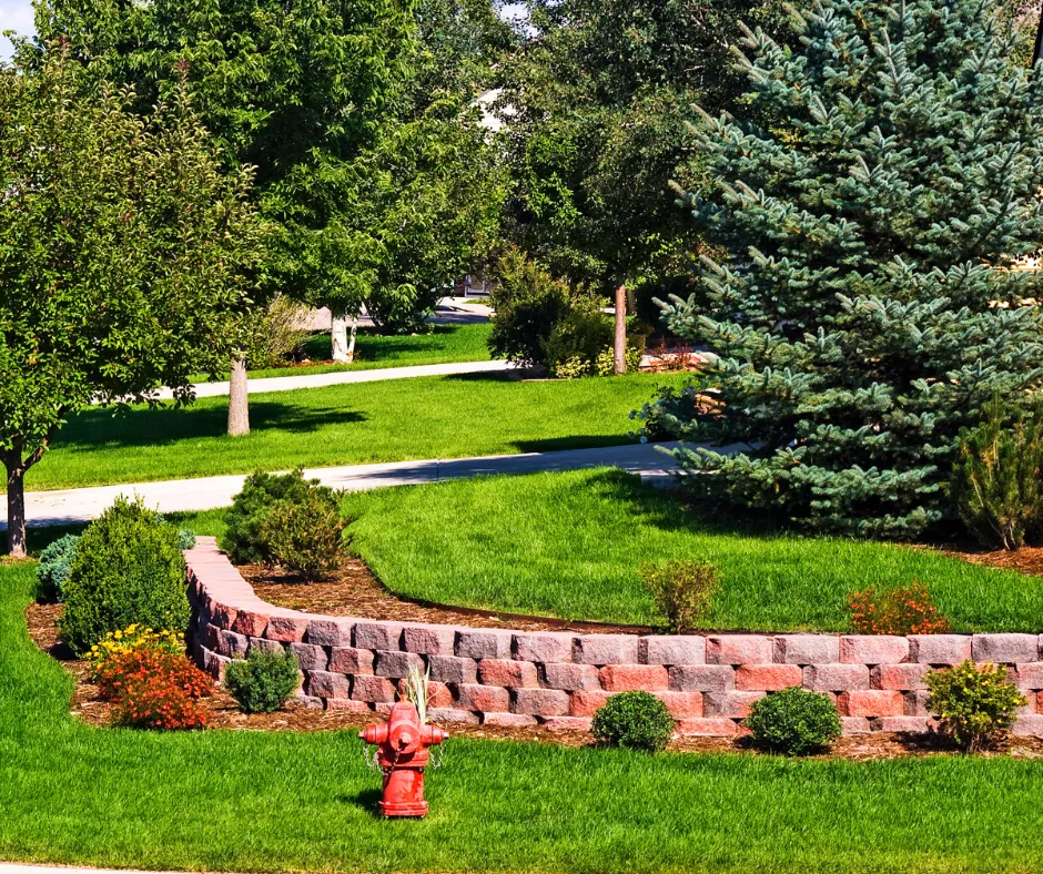 The Ultimate Guide To Pruning Trees In The Winter- What Plants To Prune In The Winter- green landscape with evergreens and shrubs