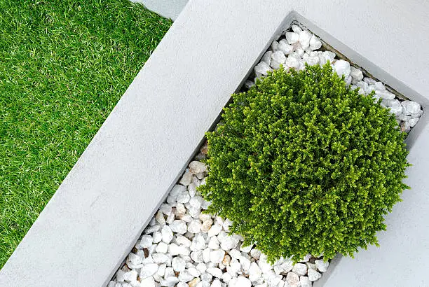 front yard landscaping ideas