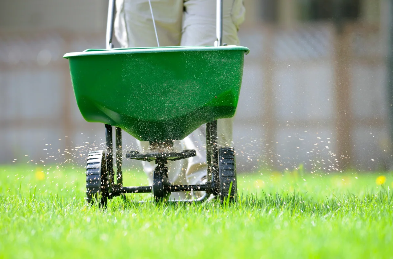 Healthy Pittsburgh Lawn-Fertilizer