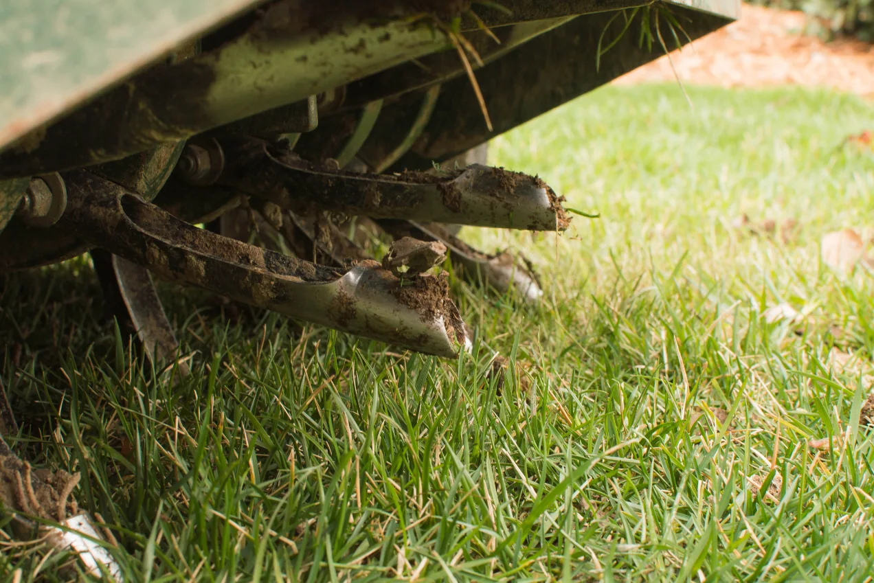 Healthy Pittsburgh Lawn-Aerate