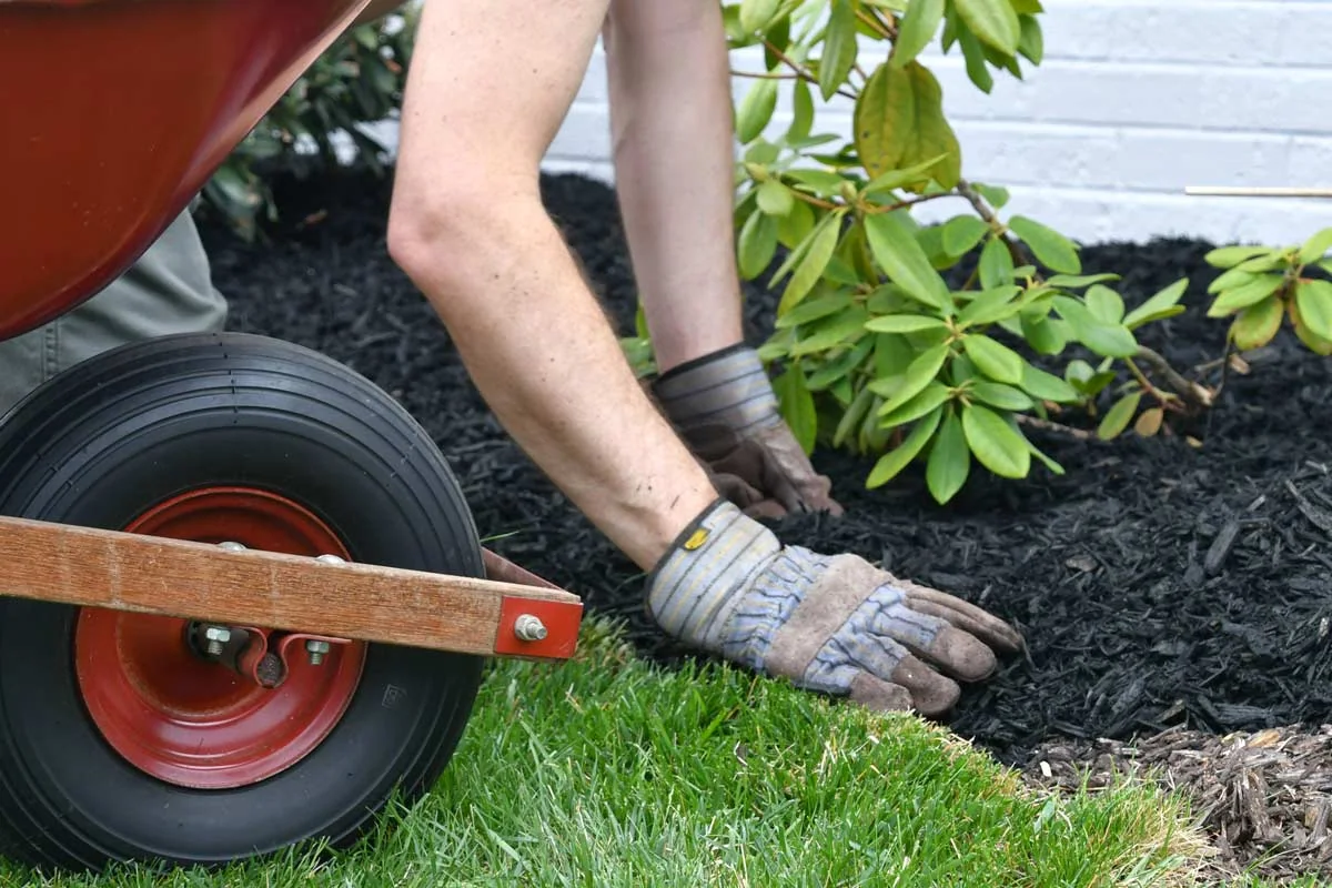 Effective Way To Improve Curb Appeal: Laying mulch