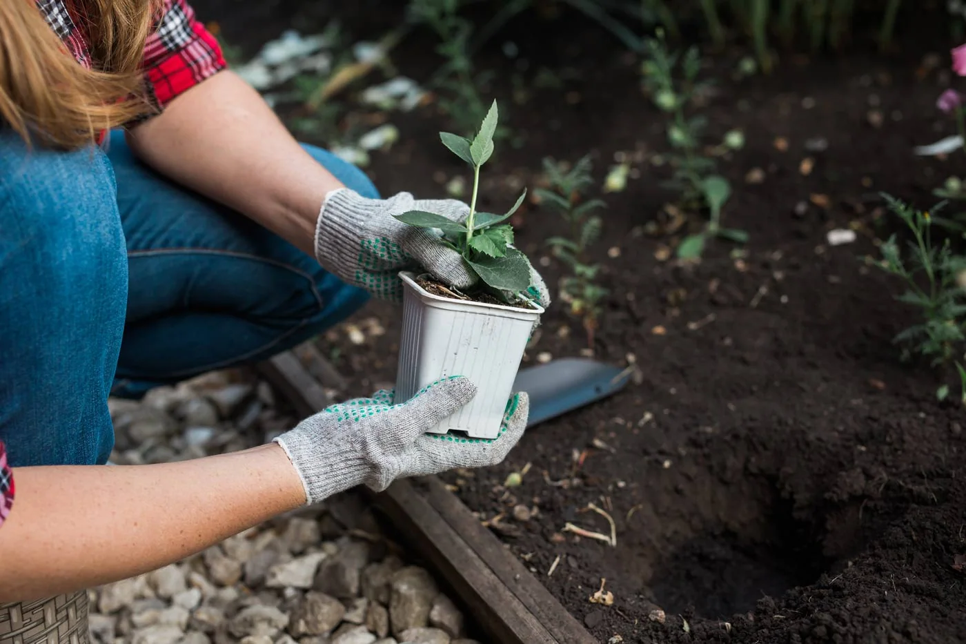 Top Tips To Improve Your Garden's Soil This Winter : Testing Soil