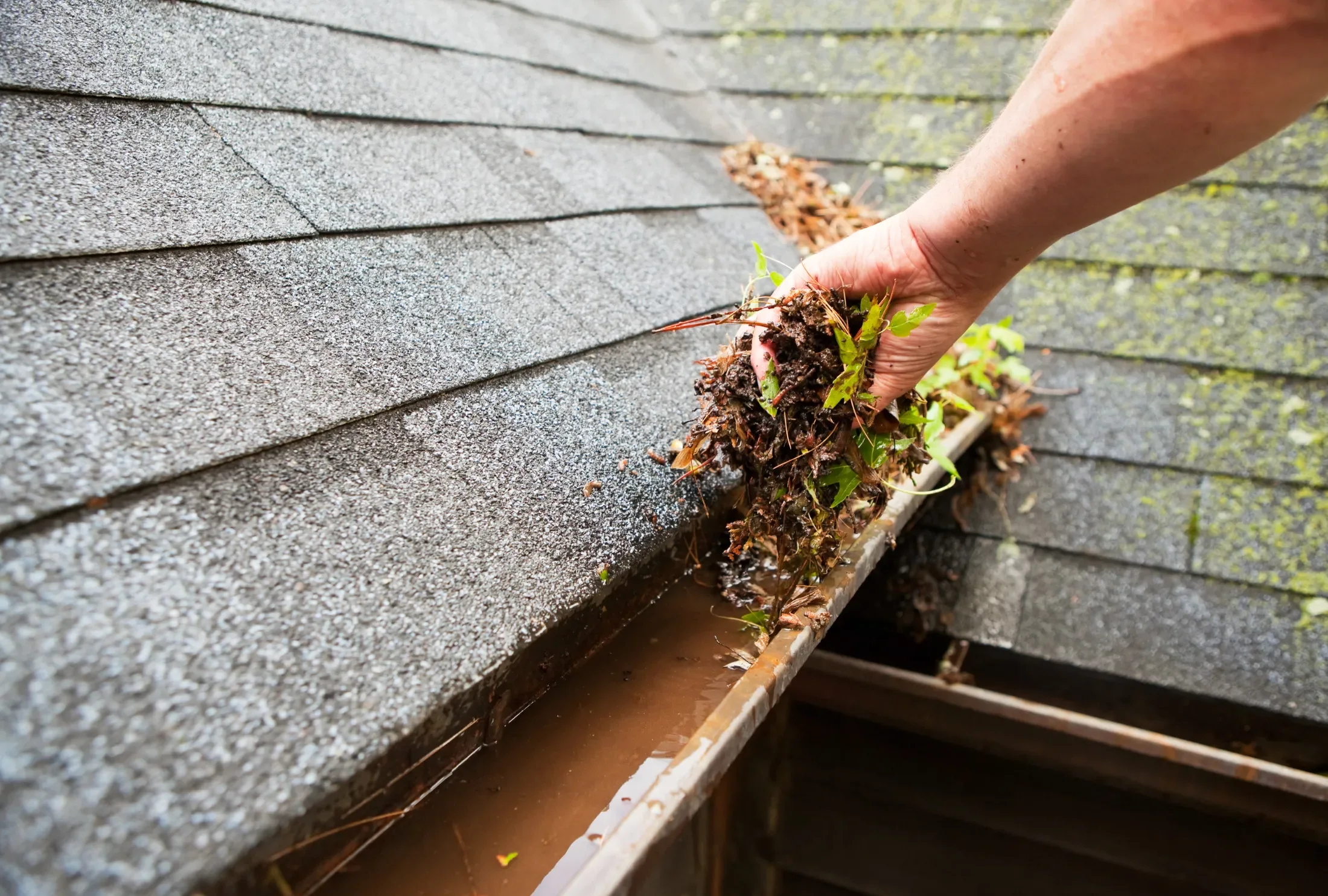 cleaning gutter as part of outdoor drainage maintenance