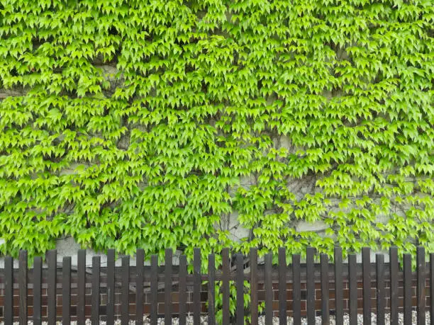 Top outdoor living ideas- vertical planter