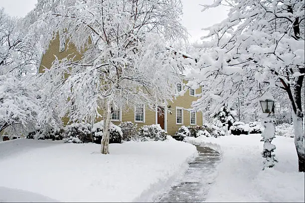snow-friendly landscaping