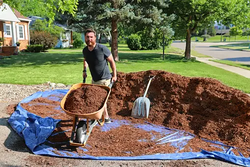 guy with wheelbarrow of mulch