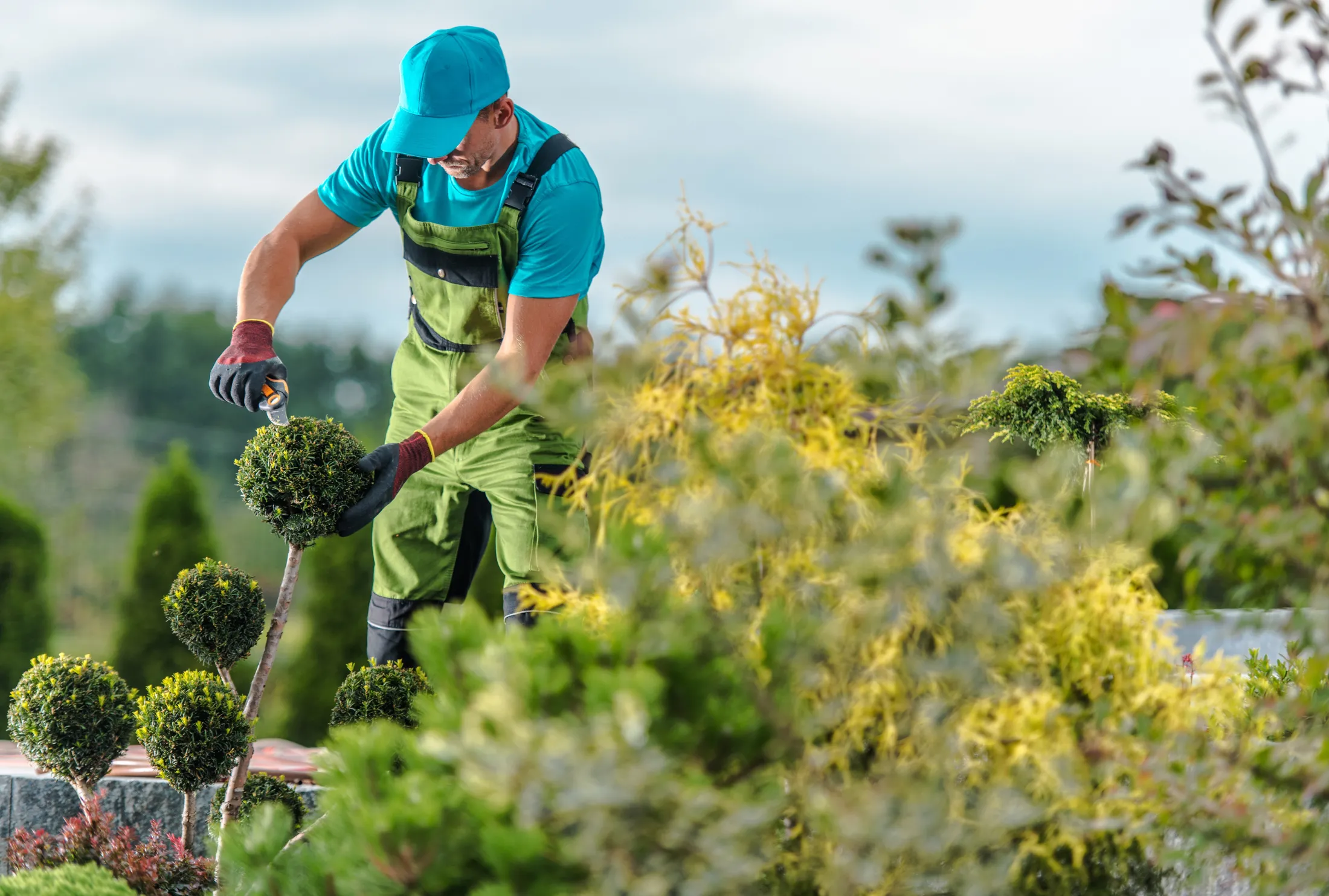 landscaper giving different types of landscaping services like trimming hedges