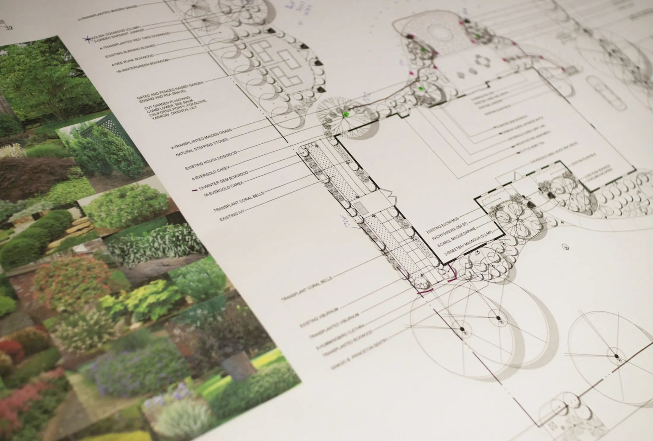 blueprint layout of a backyard landscape