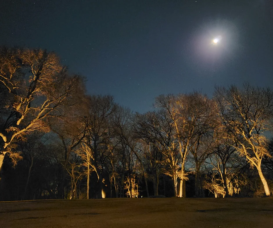 Landscape-Zoning-And-Outdoor-Lighting-Layers