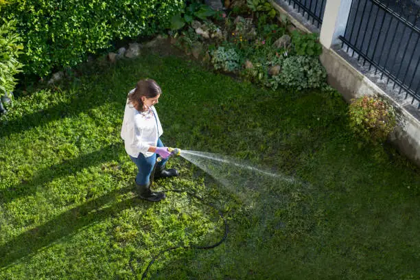 how to water your lawn