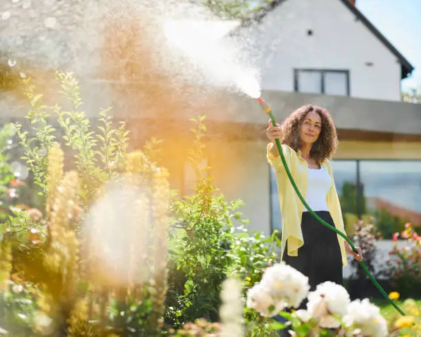 how to water your lawn