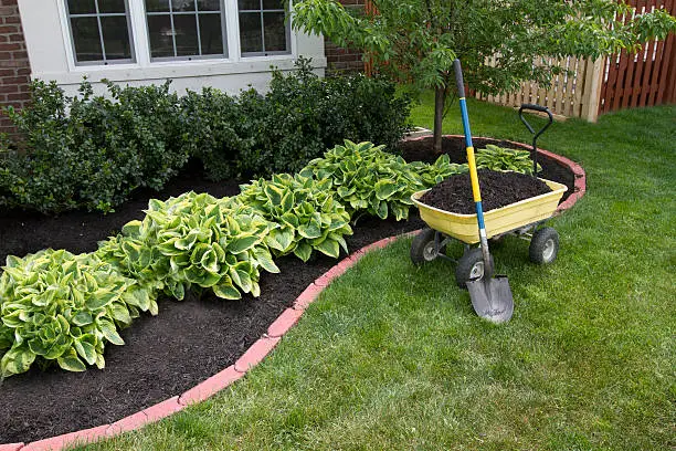 what to do with old mulch