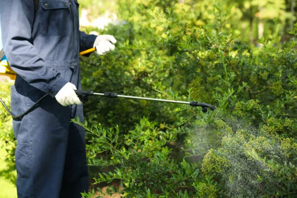 Landscaping eco-friendly pest control