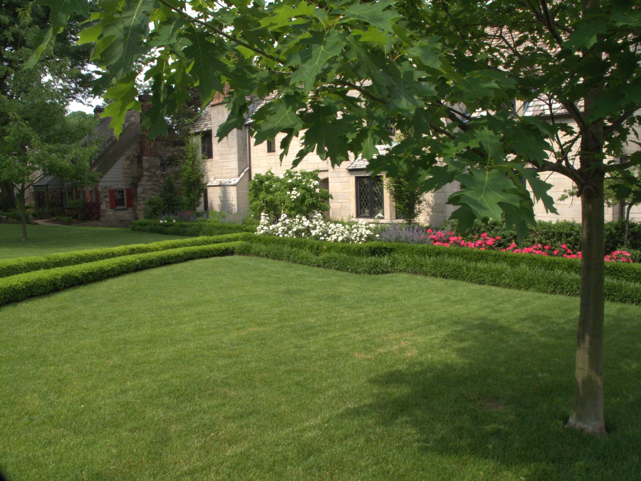 grass fertilization tips