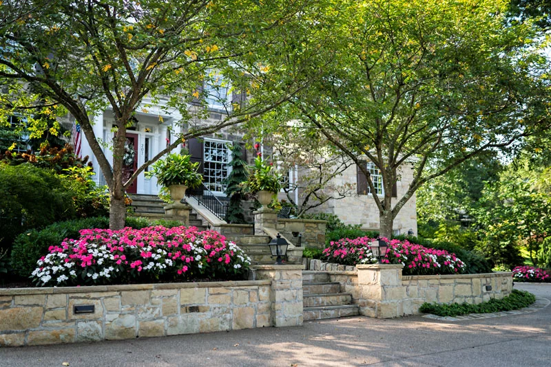 2D and 3D visualization