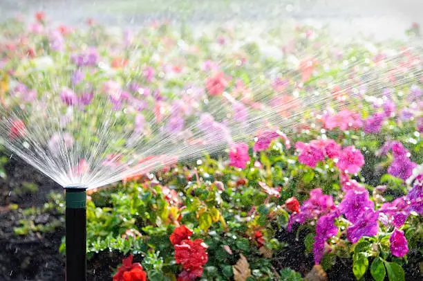 Irrigation Services