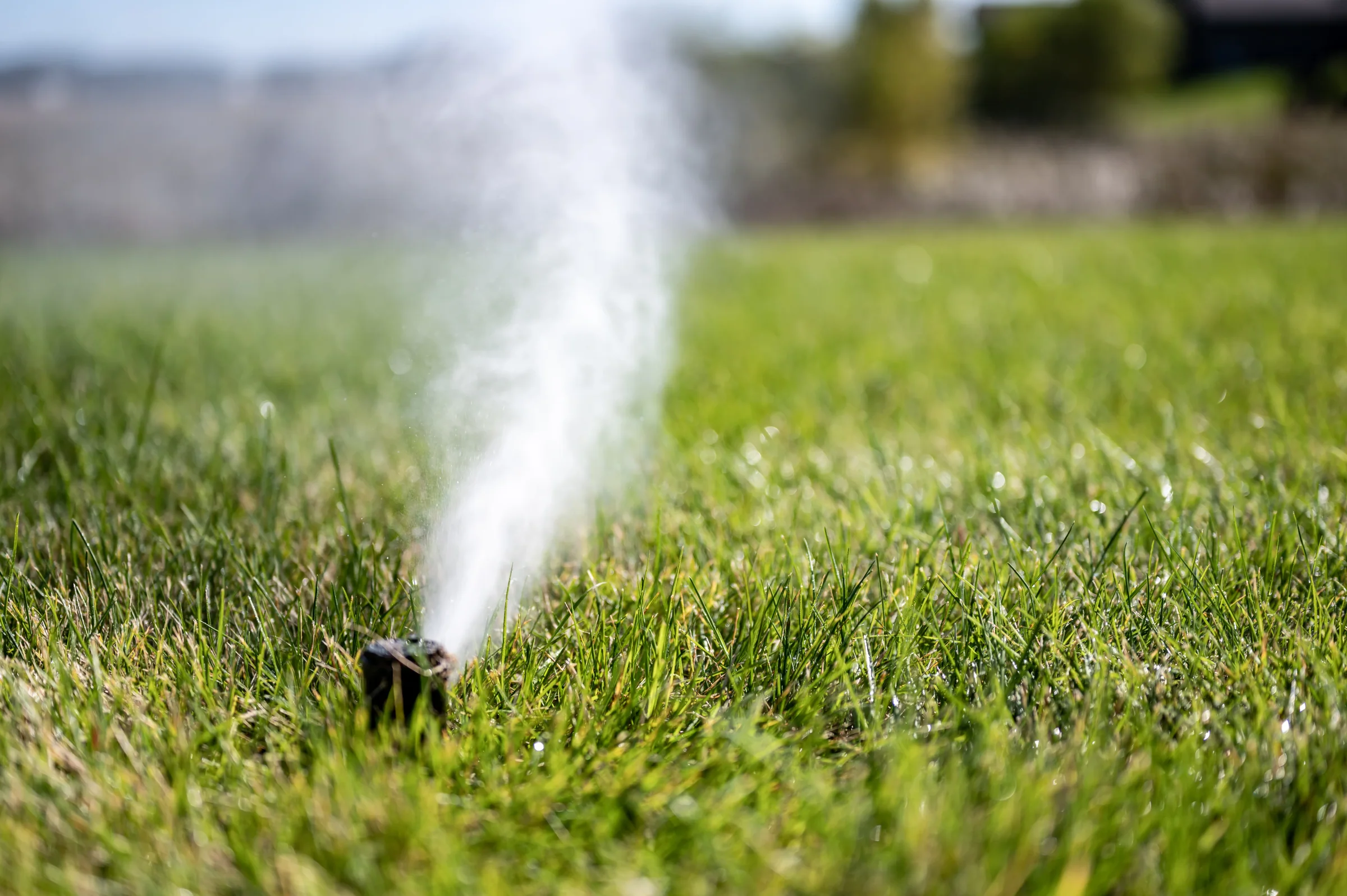 Professional irrigation technicians and system service