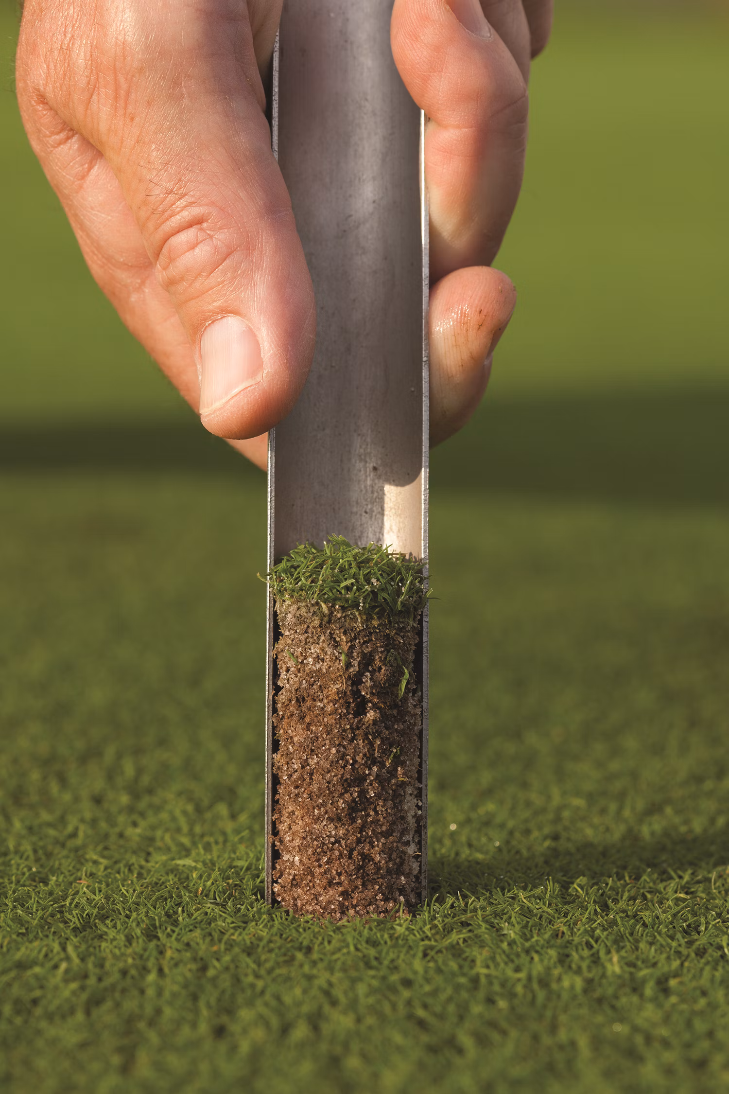 Soil testing and seasonal lawn science