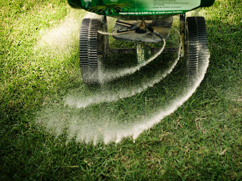 Lawn fertilization and professional turf care