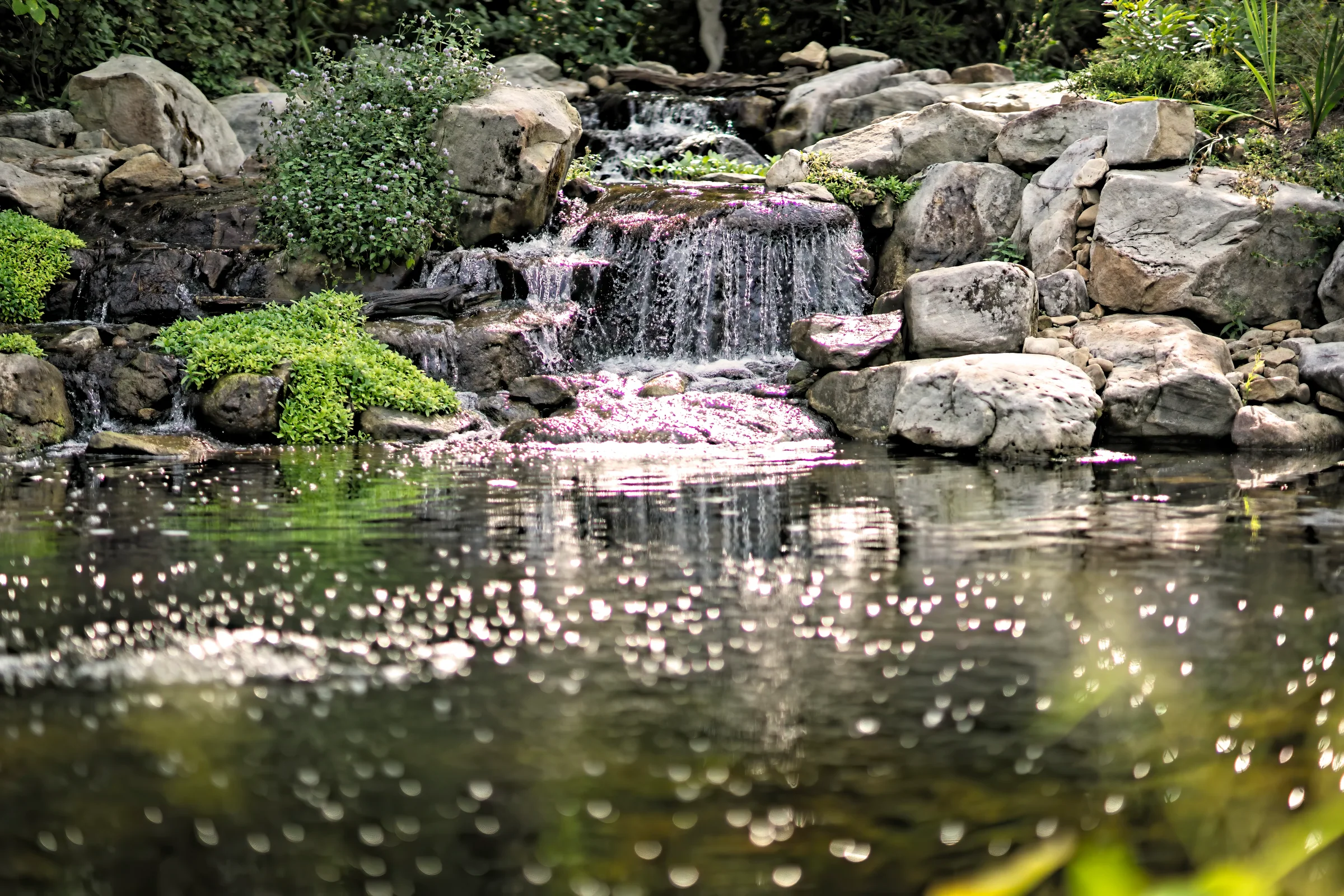 Water feature maintenance