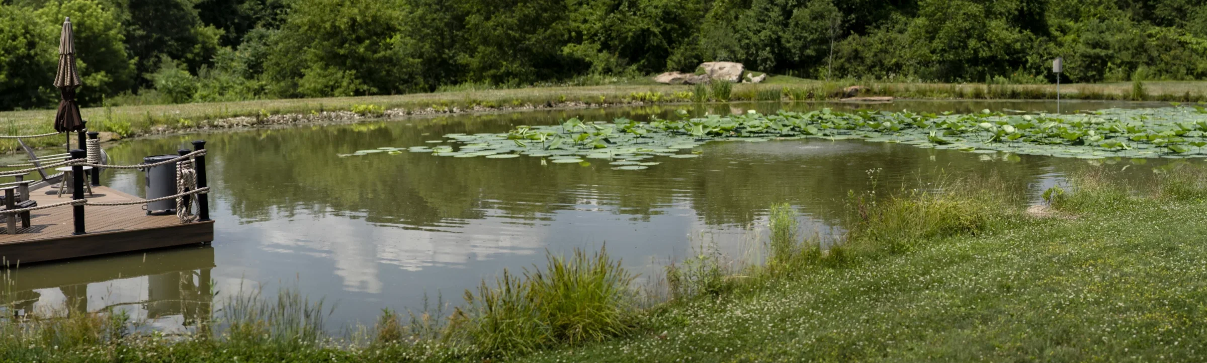 Landscape management in Wexford