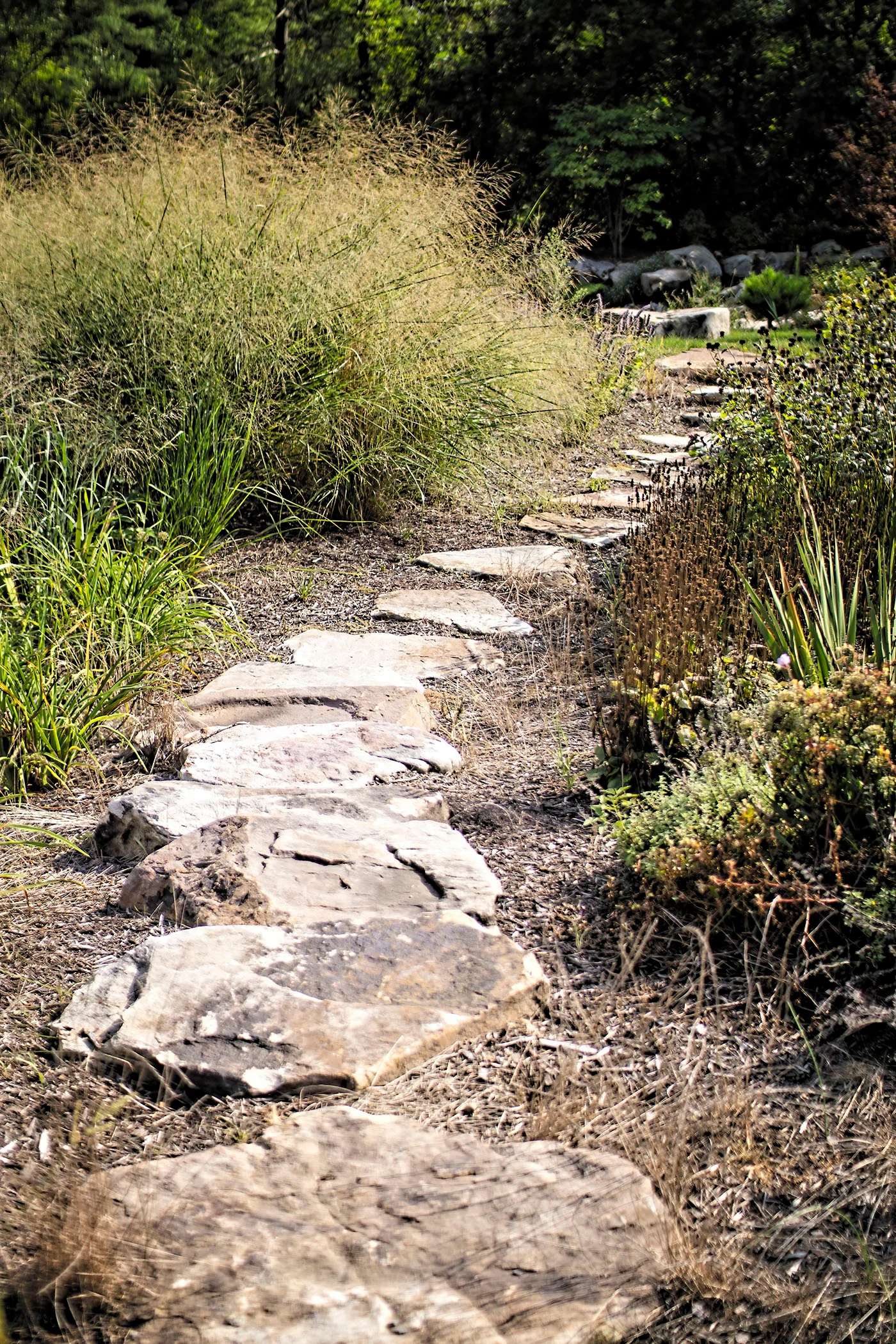 Landscape management in Indiana Township