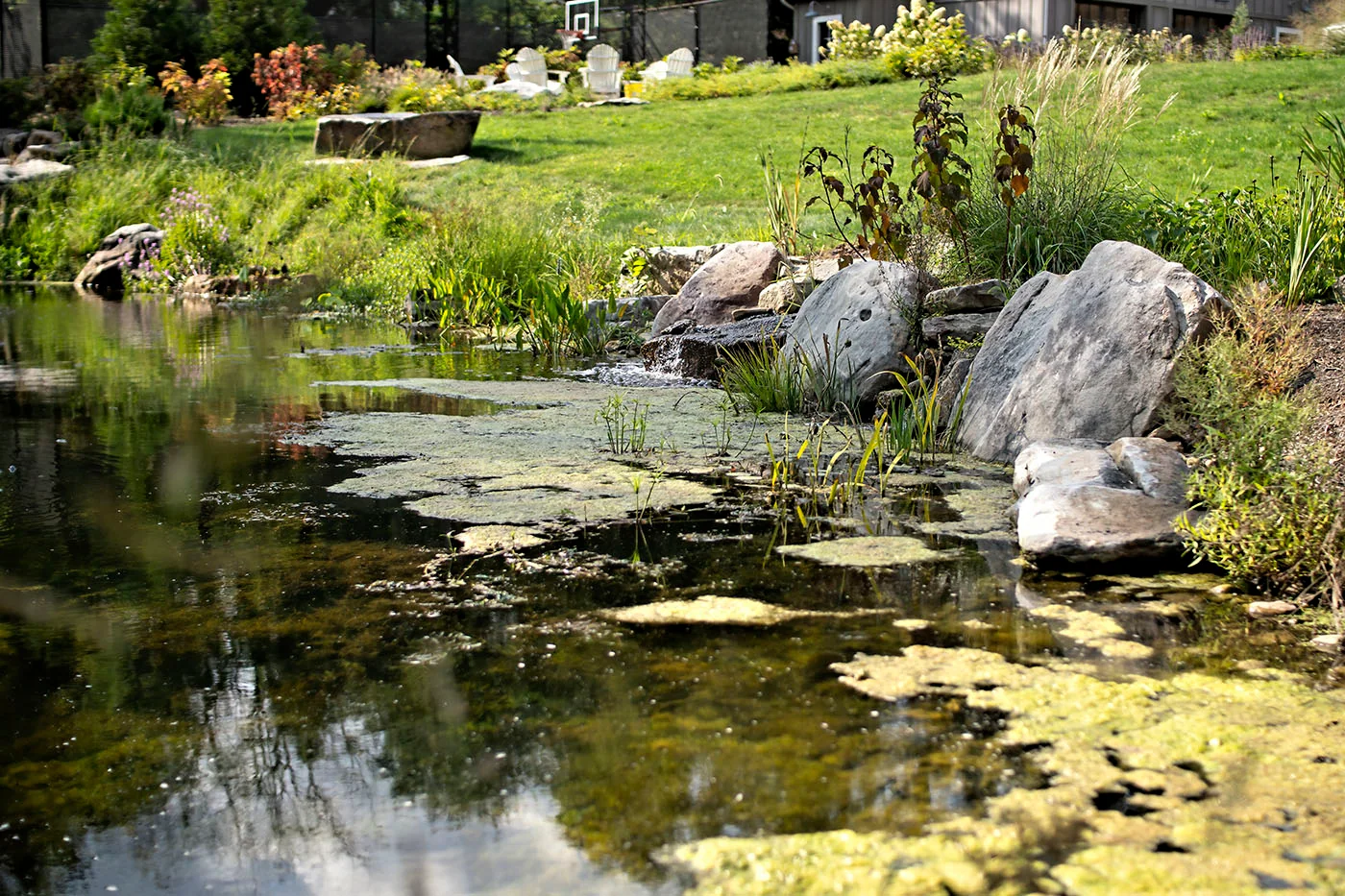 Landscape design in East Region