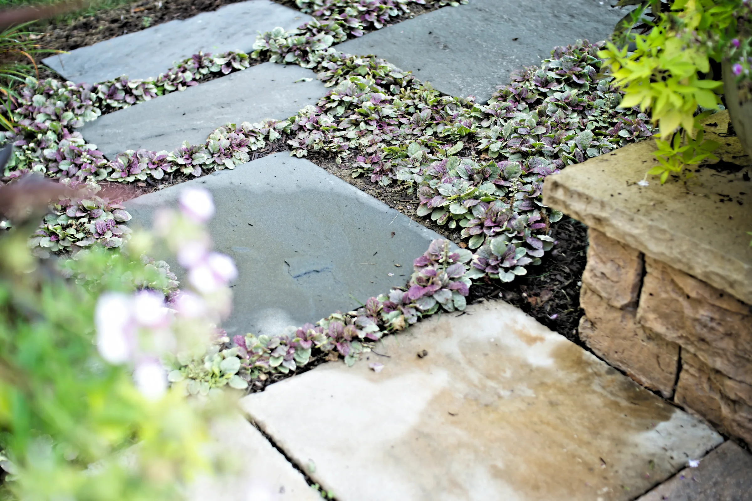 Landscape management in East Region