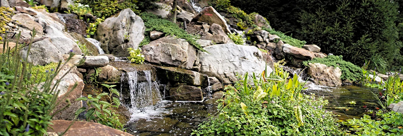 Landscaping in East Region