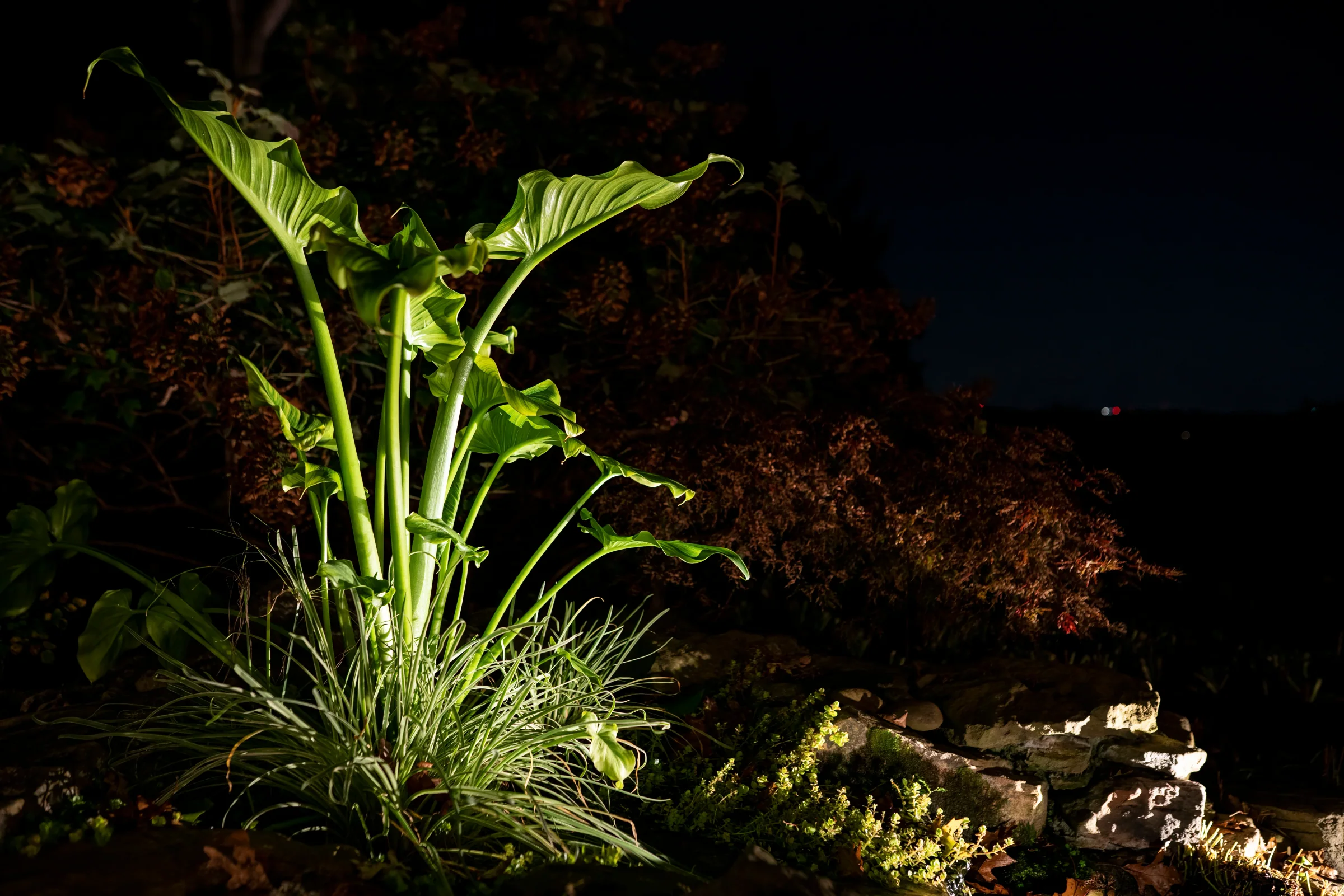 Landscaping in South Hills