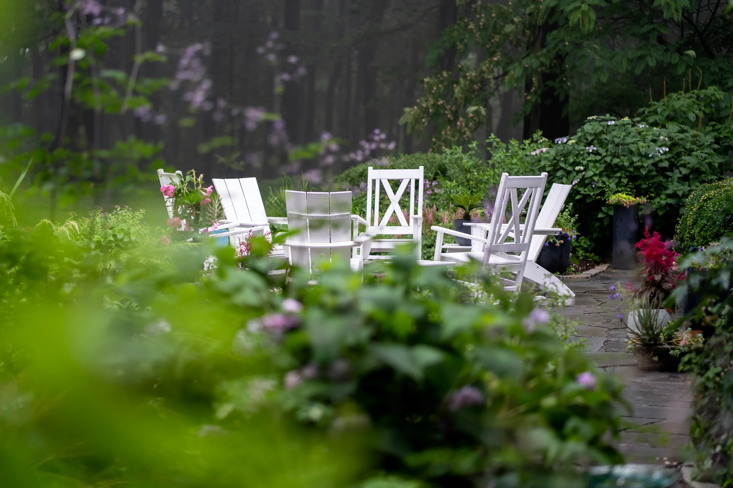 Native plants and naturalistic landscaping