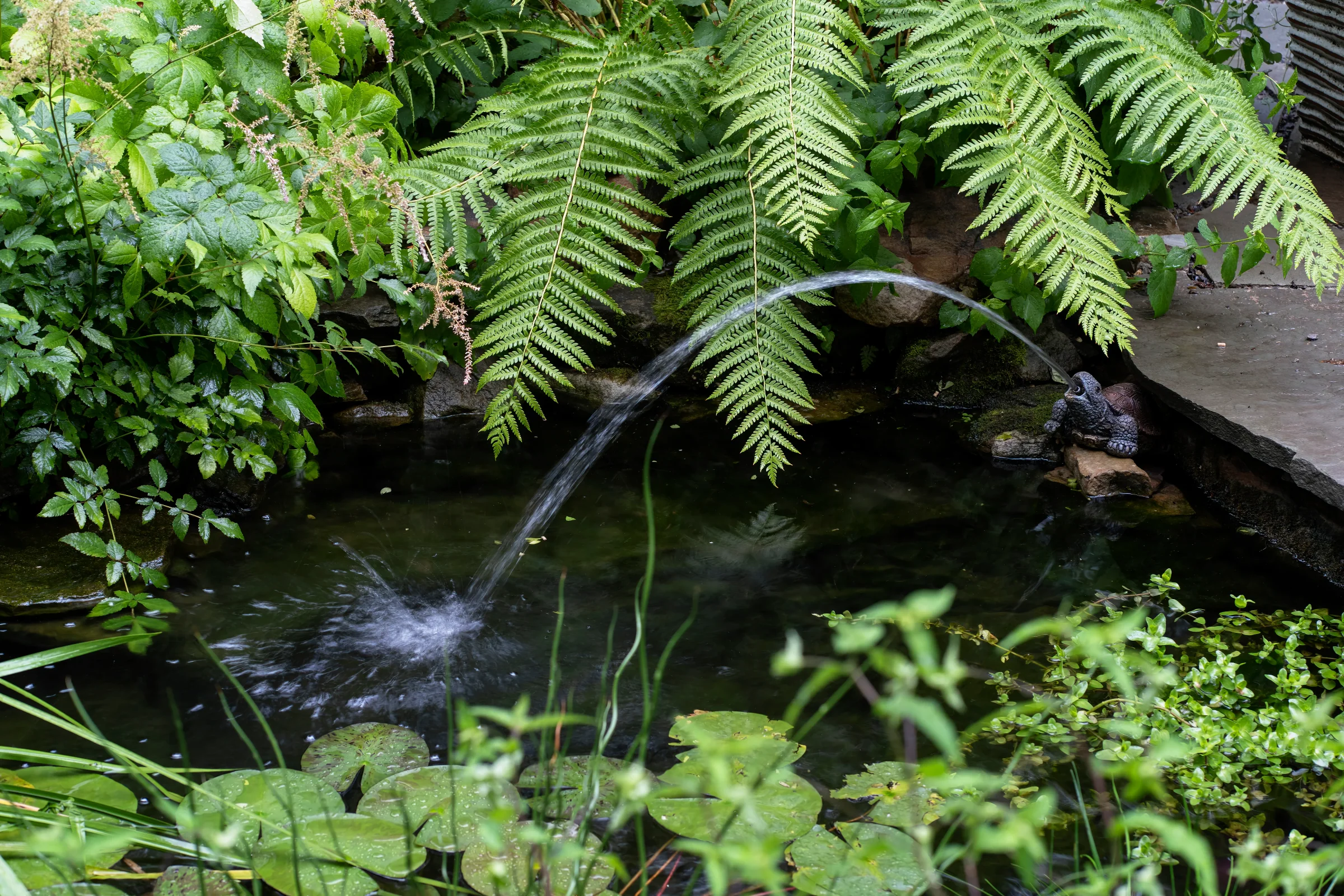 Outdoor living in Franklin Park
