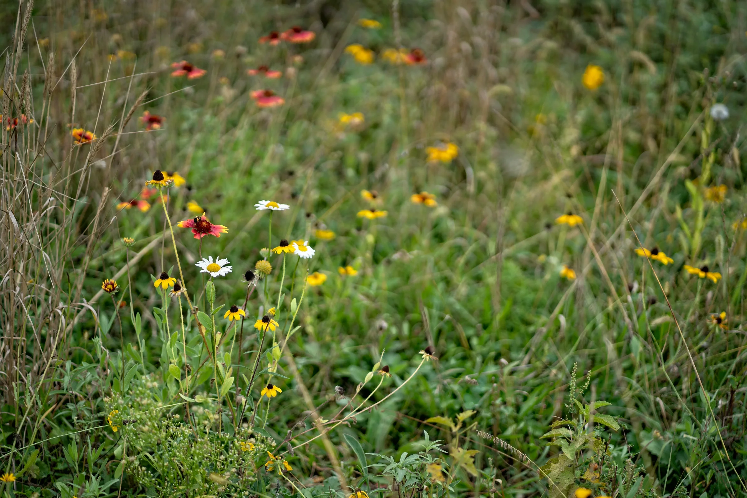 Water-efficient irrigation