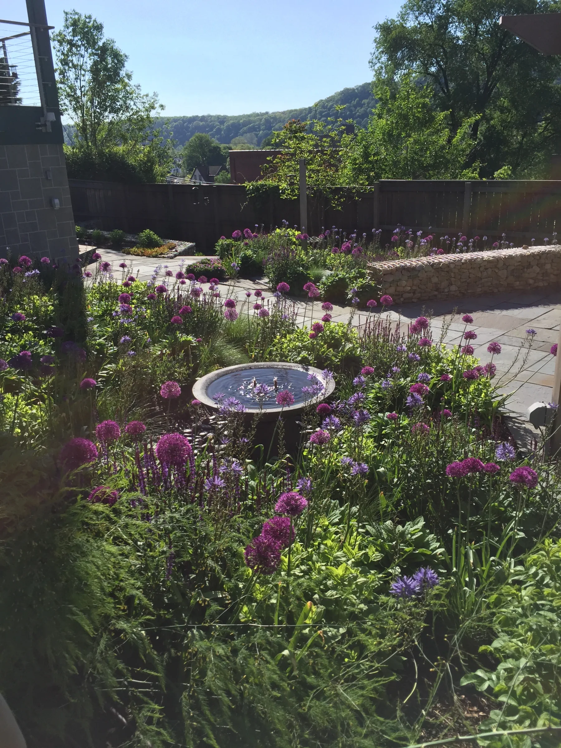 Organic lawn and garden care