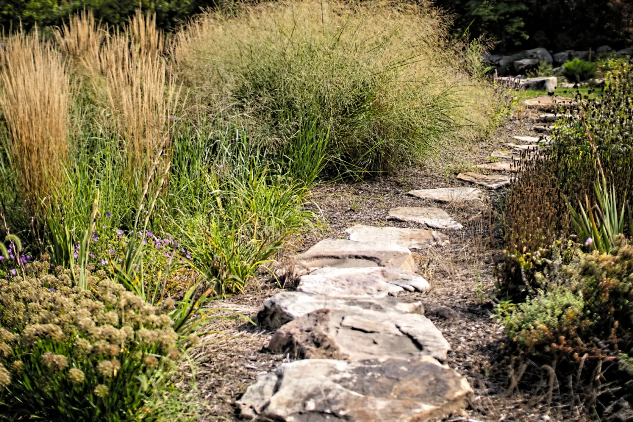 Pollinator gardens and native flowering plantings