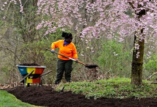 Women digging