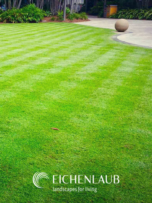 How To Maintain A Healthy Lawn Every Season Eichenlaub Inc.