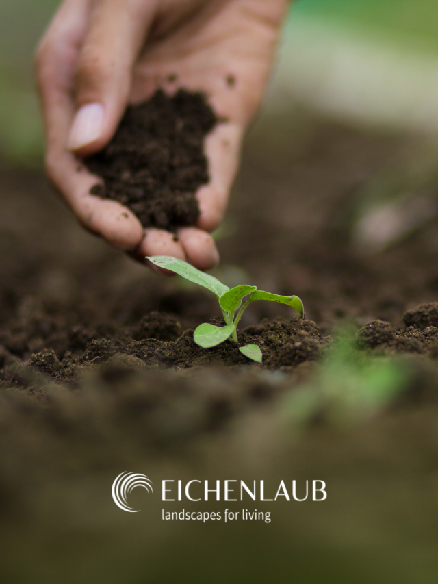 Top Tips To Improve Your Garden’s Soil This Winter Eichenlaub Inc.