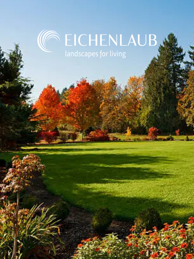 Why Fall Is The Best Time To Redo Your Landscape