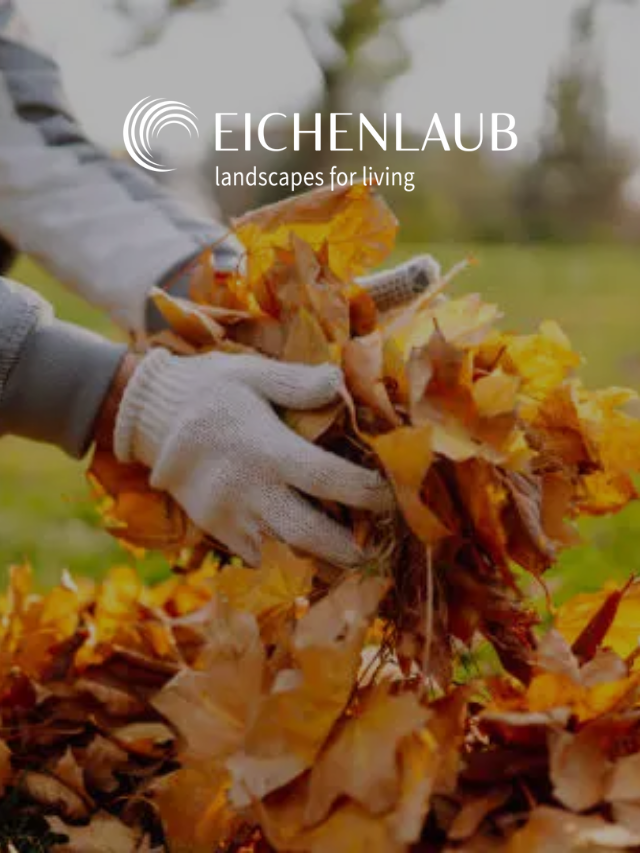 How To Use Fallen Leaves In The Garden