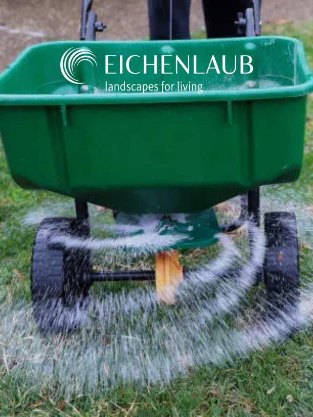 The Best Month To Fertilize Your Lawn