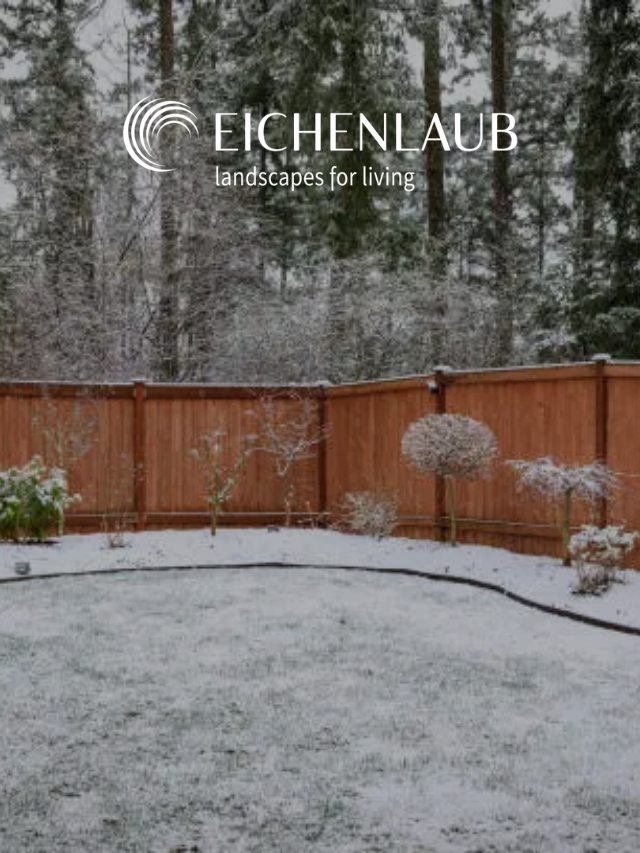 What Landscapers Do In The Winter